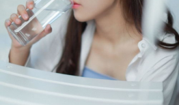 日本漫画大全天翼鸟,翱翔于幻想与现实的翅膀