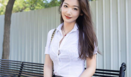 日本漫画大全天翼鸟,翱翔于幻想与现实的翅膀